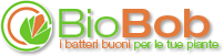 Logo BioBob